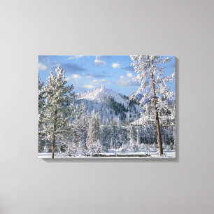 Vinter i Yellowstone National Park, Wyoming Canvastryck