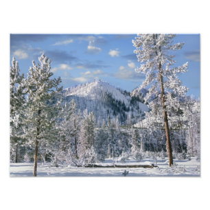 Vinter i Yellowstone National Park, Wyoming Fototryck