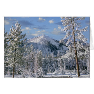 Vinter i Yellowstone National Park, Wyoming Hälsningskort