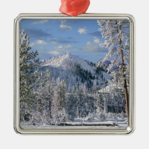 Vinter i Yellowstone National Park, Wyoming Julgransprydnad Metall