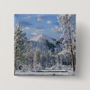 Vinter i Yellowstone National Park, Wyoming Knapp