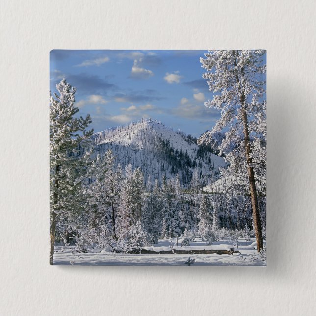 Vinter i Yellowstone National Park, Wyoming Knapp (Framsida)