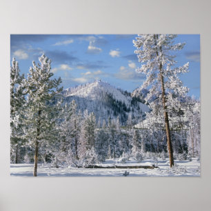 Vinter i Yellowstone National Park, Wyoming Poster