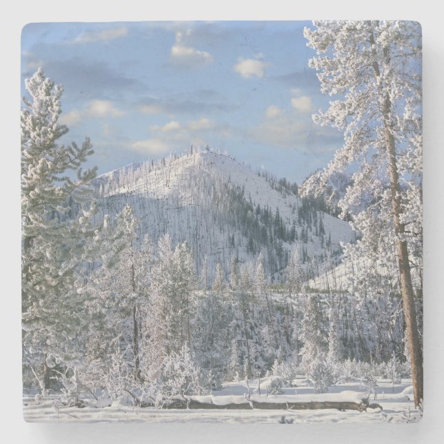 Vinter i Yellowstone National Park, Wyoming Stenunderlägg (Framsidan)