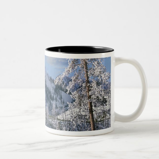 Vinter i Yellowstone National Park, Wyoming Två-Tonad Mugg (Höger)