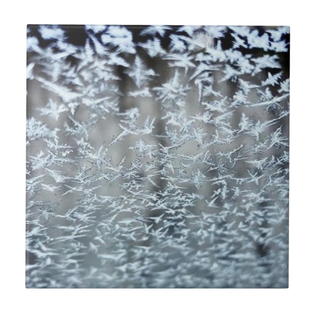 Vinter Icicles Kakelplatta (Framsidan)