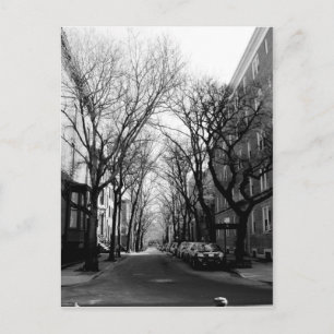 Vinter in Brookly, NY Vykort