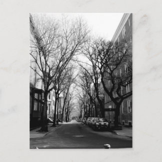 Vinter in Brookly, NY Vykort