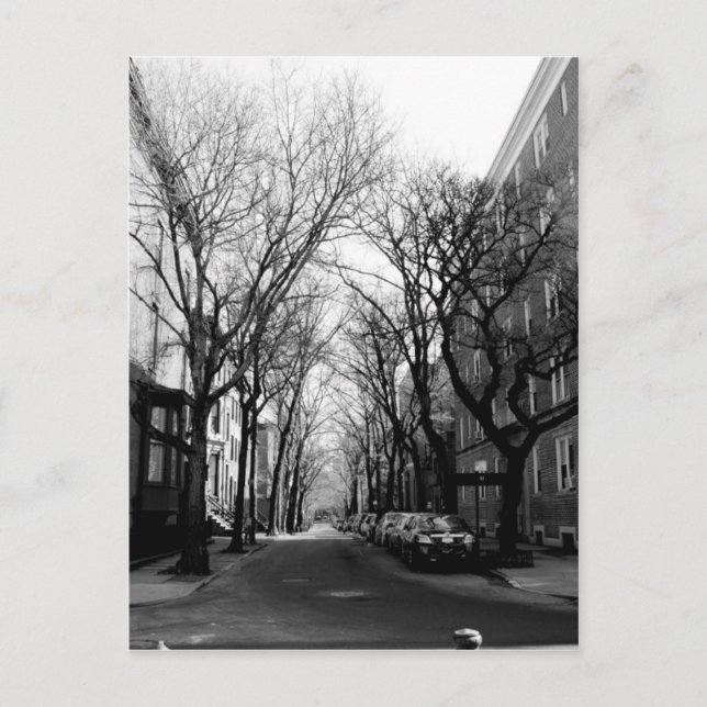 Vinter in Brookly, NY Vykort (Framsida)