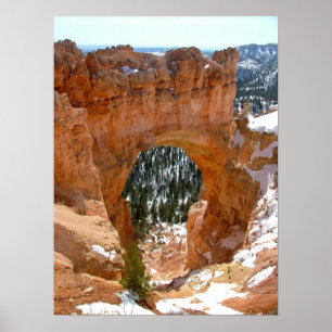 Vinter in Bryce Canyon nationalpark Poster