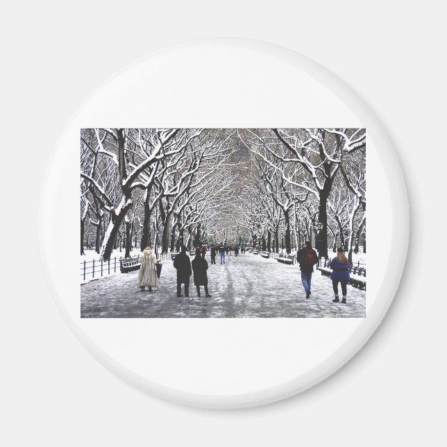 Vinter in Central Park NYC Magnet (Framsidan)