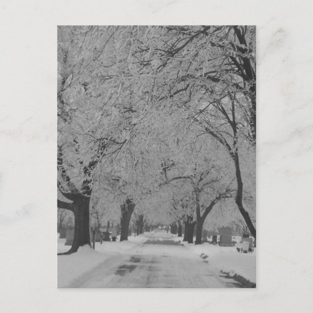 Vinter in Nebraska vycard Vykort (Framsida)