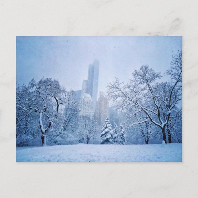 Vinter in New York City's Central Park Vykort (Framsida)