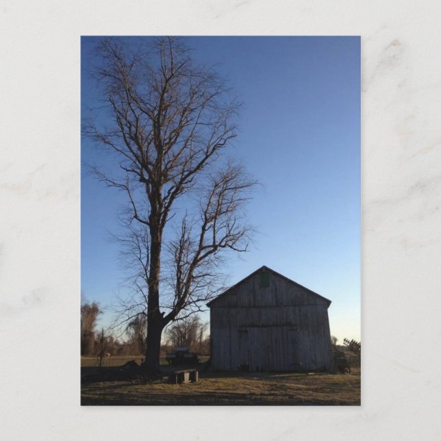 Vinter in Windsor, CT-vykort Vykort (Framsida)