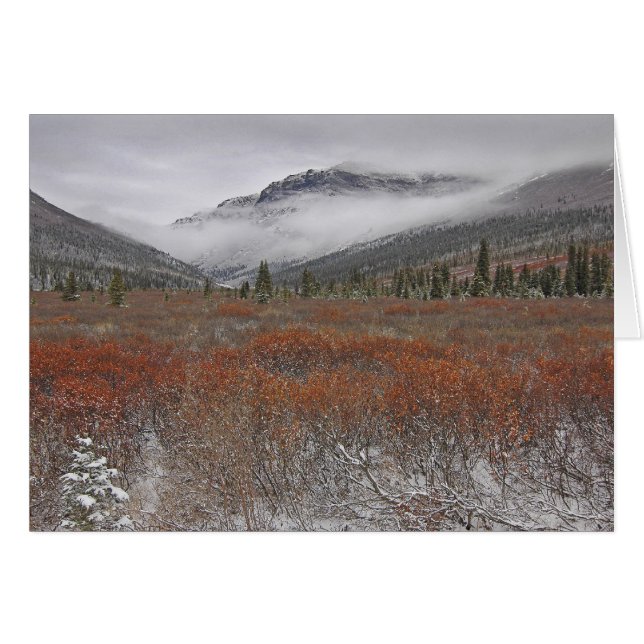 Vinter kommer hälsningskort (Framsidan Horizontal)