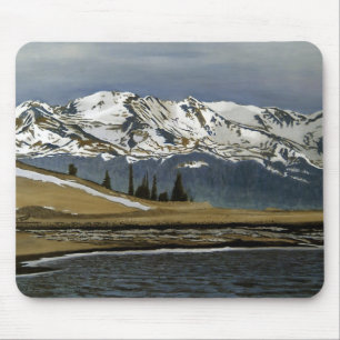 Vinter Leadville Colorado Bergslandskap Musmatta