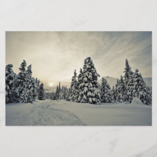 Vinter Magic Brevpapper