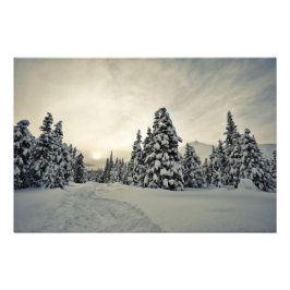 Vinter Magic Fototryck