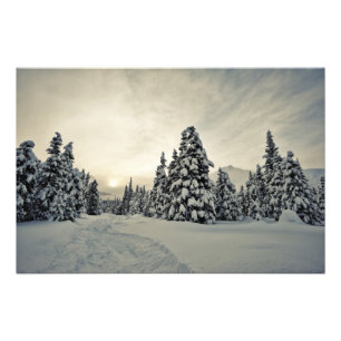 Vinter Magic Fototryck