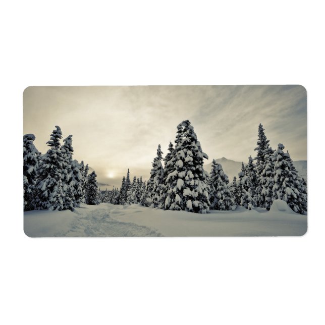 Vinter Magic Fraktsedel (Framsidan)