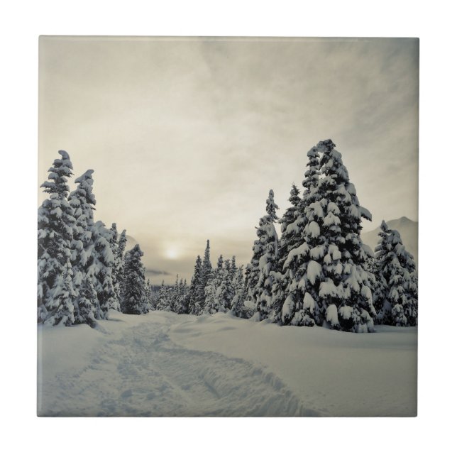 Vinter Magic Kakelplatta (Framsidan)
