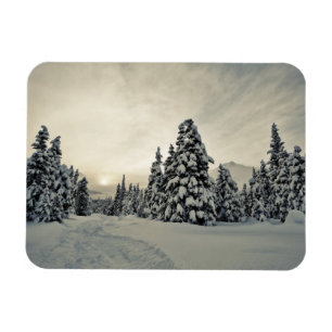 Vinter Magic Magnet