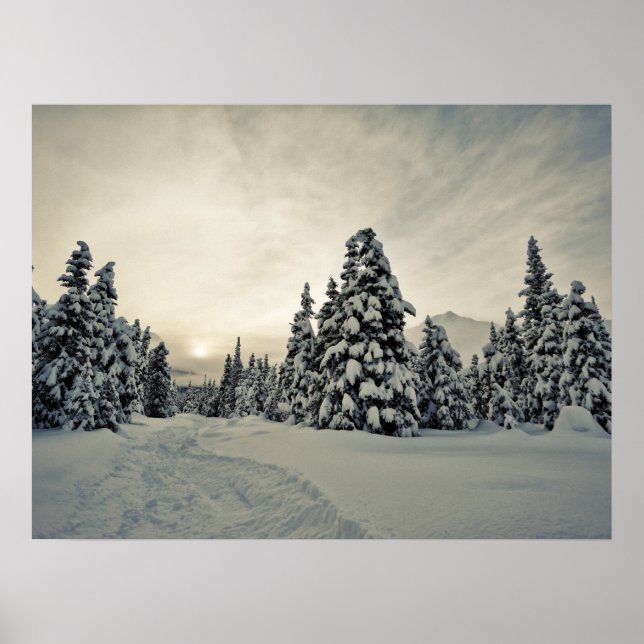 Vinter Magic Poster (Framsidan)