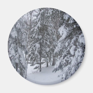 vinter magnet
