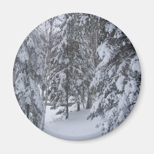 vinter magnet (Framsidan)