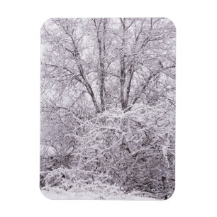 Vinter med Snö liggande Magnet