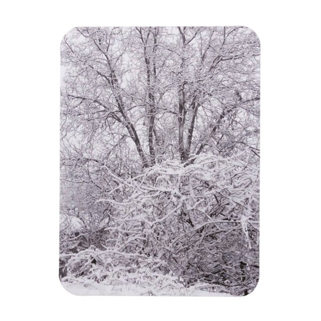 Vinter med Snö liggande Magnet (Vertikal)