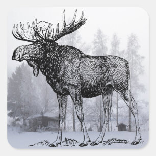 Vinter Moose Fyrkantigt Klistermärke
