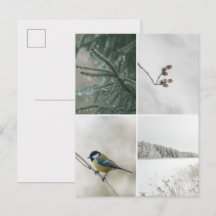 Vinter Natur fotokollage