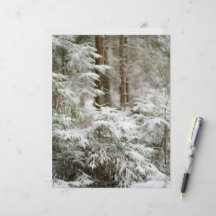 Vinter natur jul scrapbook bakgrundspapper