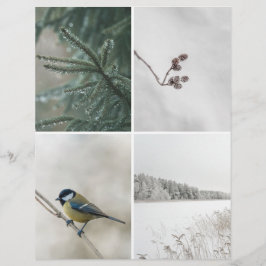 Vinter Natur: Julskrapbok Urklipps papper
