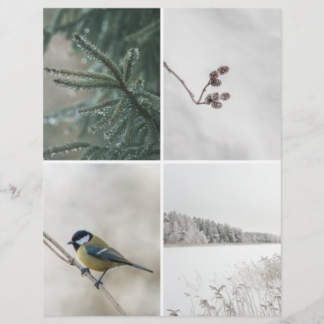 Vinter Natur: Julskrapbok Urklipps papper (Framsida)