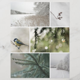 Vinter Natur: Julskrapbok Urklippspapper