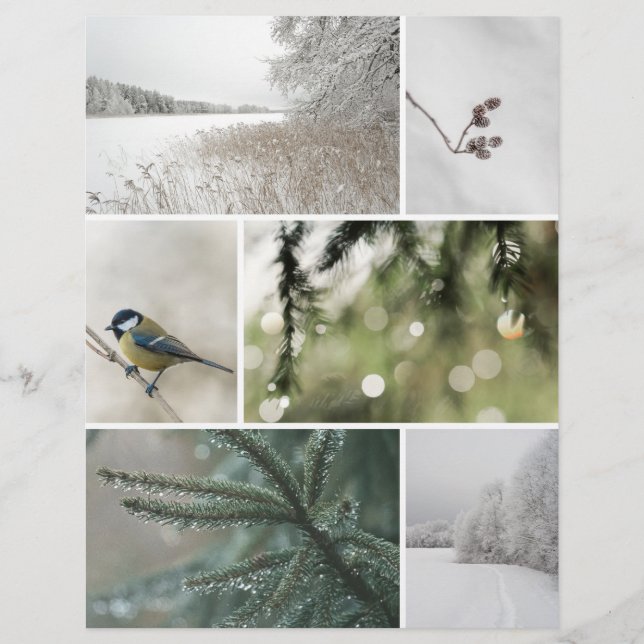 Vinter Natur: Julskrapbok Urklippspapper (Framsida)