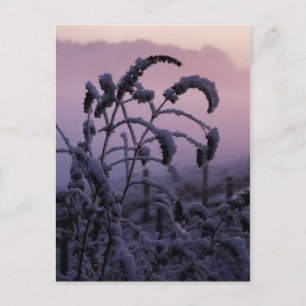 Vinter, Norfolk, England - vykort