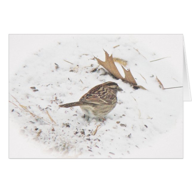 Vinter och Sparrow Hälsningskort (Framsidan Horizontal)