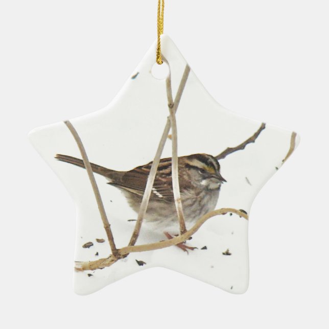 Vinter och Sparrow Julgransprydnad Keramik (Framsidan)