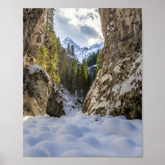 Vinter och vår dal och berg poster (Framsidan)