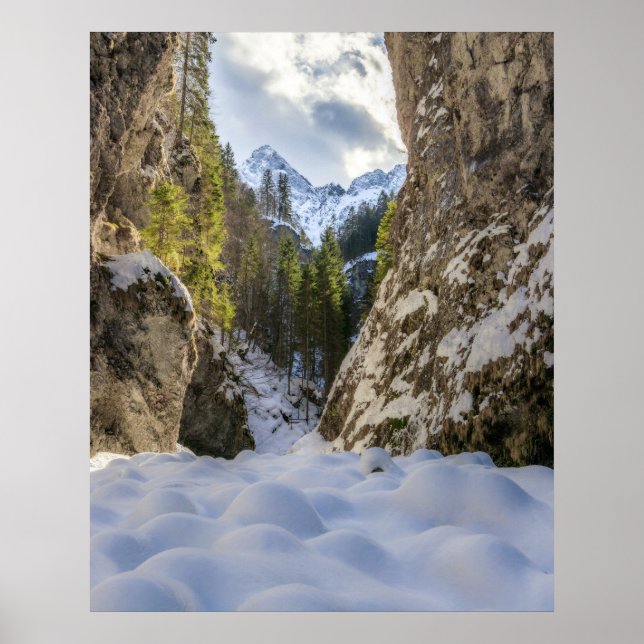 Vinter- och vår-dalen och bergen poster (Framsidan)