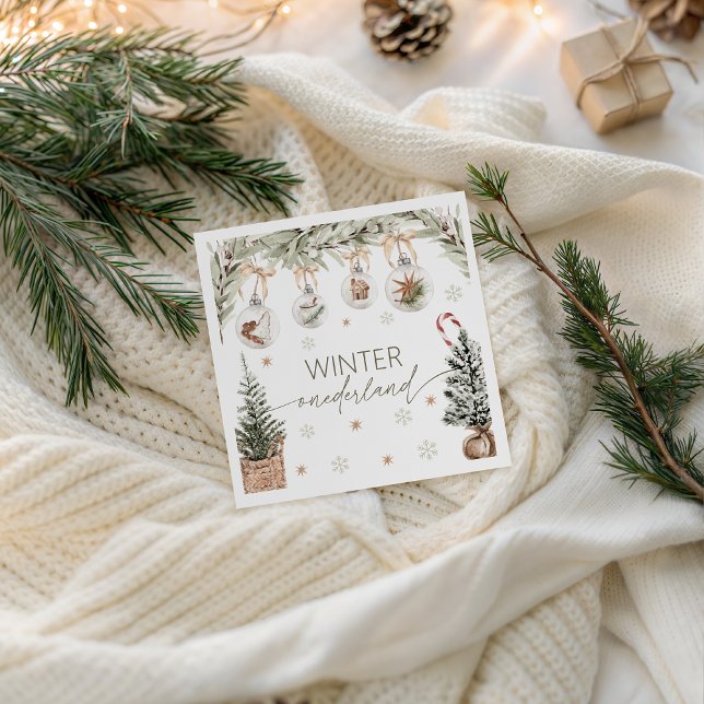 Vinter Onederland Festsservett Pappersservett (Skapare uppladdad)