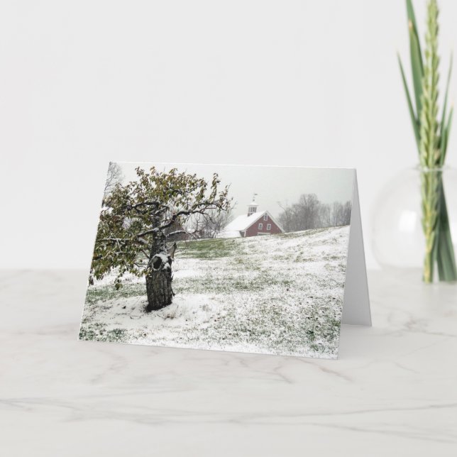 Vinter på en Hollis-, NH-anläggning Helgkort (Framsida)