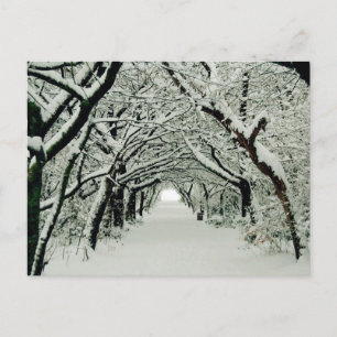 Vinter på Heaton Park vykort