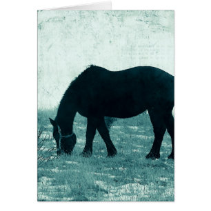 Vinter Percheron Hälsningskort