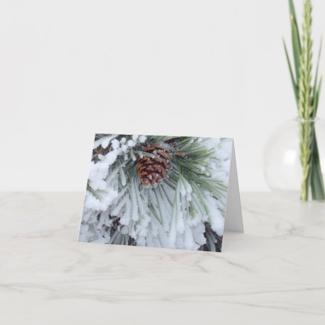 Vinter Pinecone Kort (Framsida)