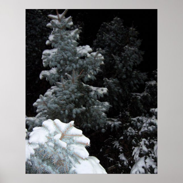Vinter Poster (Framsidan)