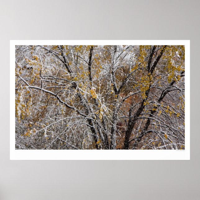 Vinter Poster (Framsidan)